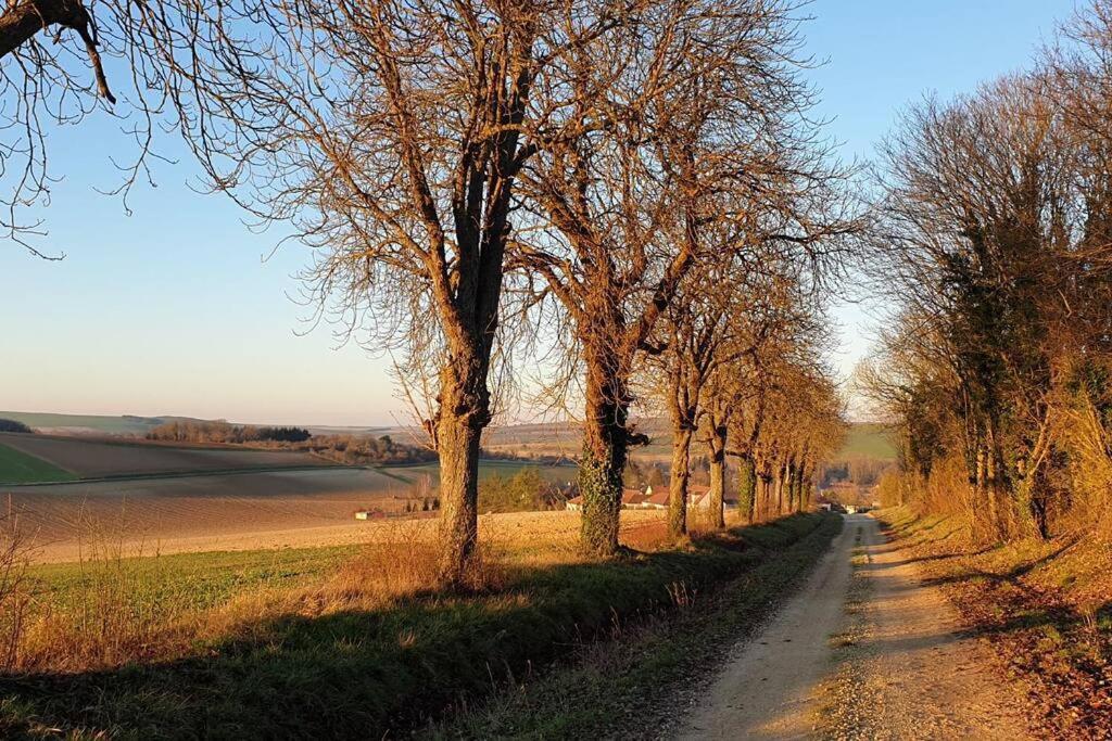 Le Bellevue A 1 H 30 De Paris Et 20 Km De Troyes Villa Estissac Buitenkant foto